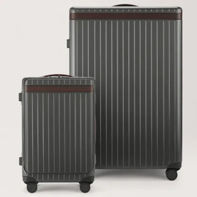 Carl Friedrik Check-in And Carry-on Luggage Set - Polycarbonate And Aluminium - Gray / Dark Brown