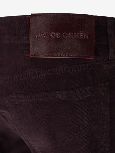 Jacob Cohen Bard Trousers In Violeta