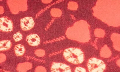 Ulla Johnson Maria Side Tie Bikini Bottoms In Coral