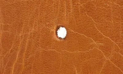 Ada Luxe Leather Belt In Cognac