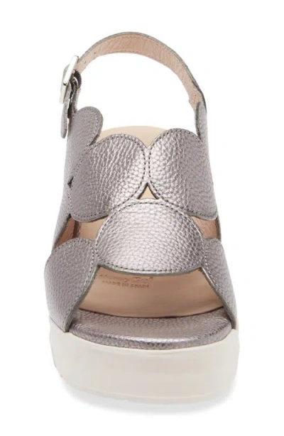 Wonders Platform Sandal In Max Plomo