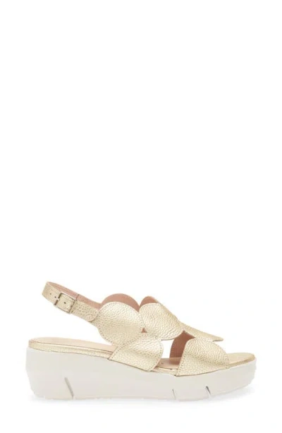 Wonders Platform Sandal In Max Platino
