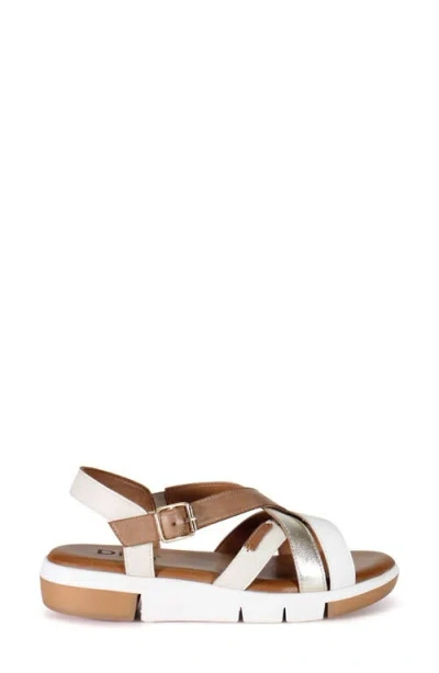 Diba True Dar Ling Wedge Sandal In Natural Multi
