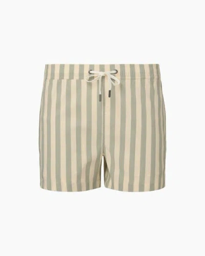 Onia Charles 4" Swim Trunk In Sage/cream
