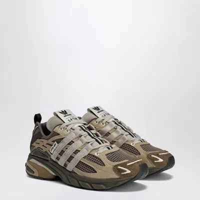 Adidas Originals Adi Star Cushion Sft In Brown