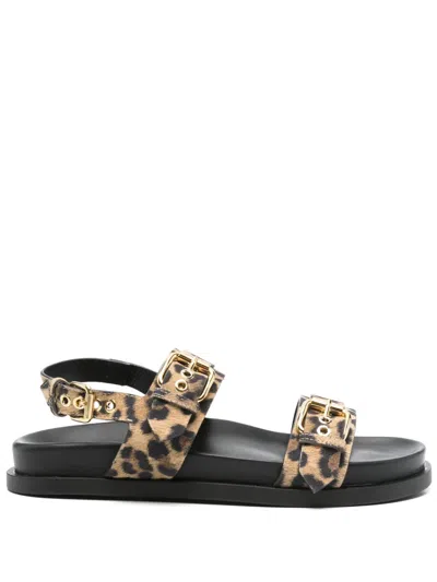 Allimaglia Leopard-print Sandals In Brown