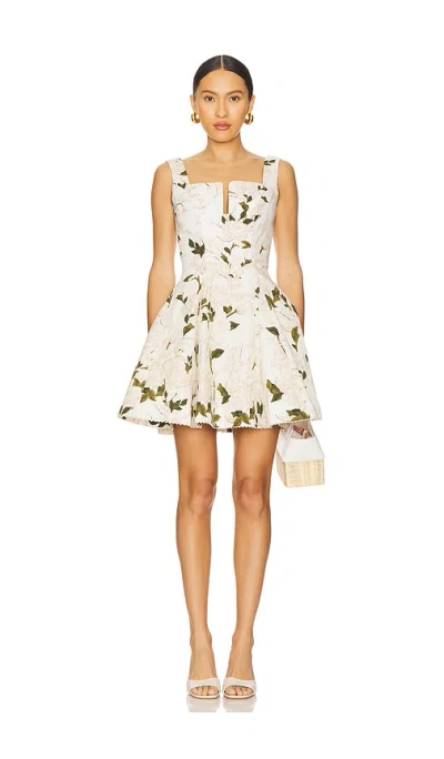 Agua By Agua Bendita Agua Gardenia Printed Cotton Mini Dress In White