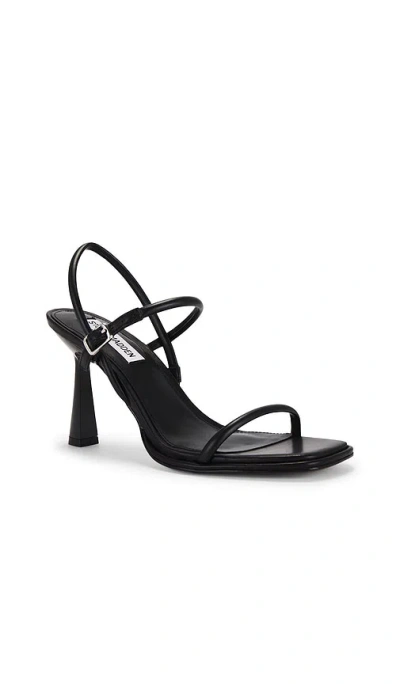Steve Madden Zenn Sandal In Black