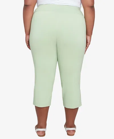 Hearts Of Palm Plus Size Solid Tech Stretch Pull On Pants In Light Green