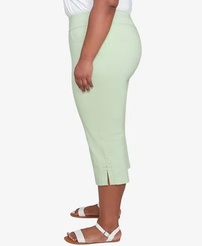 Hearts Of Palm Plus Size Solid Tech Stretch Pull On Pants In Light Green