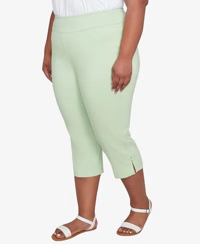 Hearts Of Palm Plus Size Solid Tech Stretch Pull On Pants In Light Green