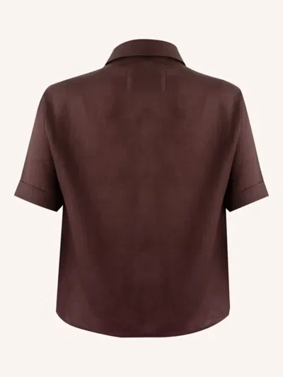 Misci Petrópolis Shirt In Brown