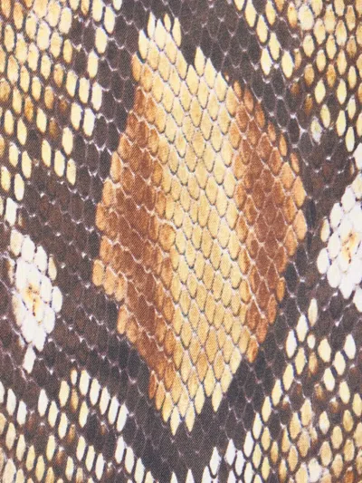 Roberto Cavalli Hose Mit Python-print In Brown