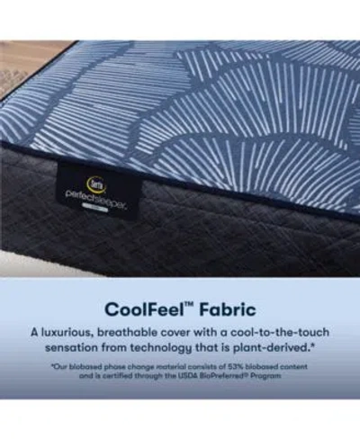 Serta Perfect Sleeper Euphoric Nights 14 Firm Hybrid Mattress Collection In No Color