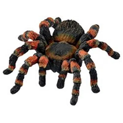 Schleich Plastic Wild Life Tarantula Toy Multi Color - Pack Of 5