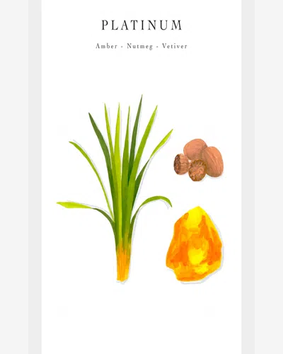 Baobab Collection Les Exclusives Platinum Candle In Silver