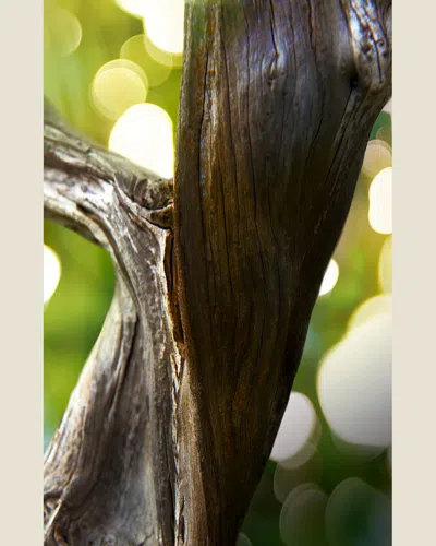 Bvlgari Man Wood Essence Eau De Parfum, 3.4 Oz.