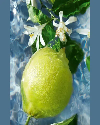 Guerlain Aqua Allegoria Bergamote Calabria Body Lotion 6.7 Oz.