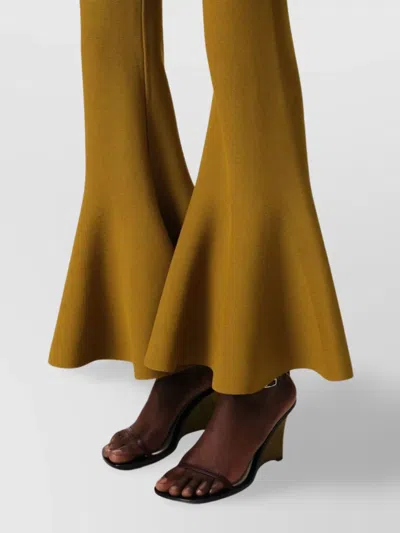 Ami Alexandre Mattiussi Ami Paris Women Godet Trousers In Brown