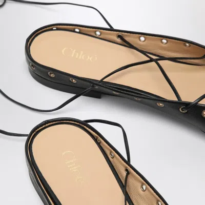 Chloé Ghillies Leather Ballet Flats In Black