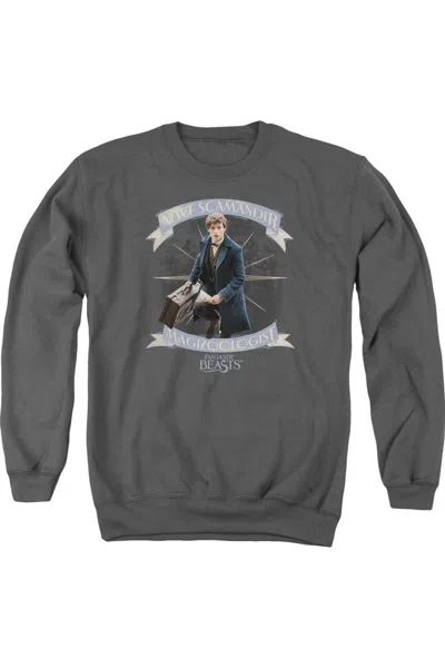 Gildan Fantastic Beasts Newt Scamander Adult Crewneck Sweatshirt In Pink