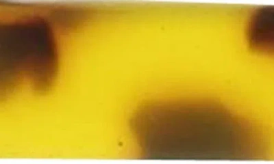 Olivia Welles Maya Resin Rectangular Hoop Earrings In Gold-brown