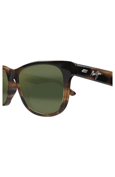 Maui Jim Kikonia Xl 53mm Wraparound Rectangular Sunglasses In Shiny Melange Brown Havana