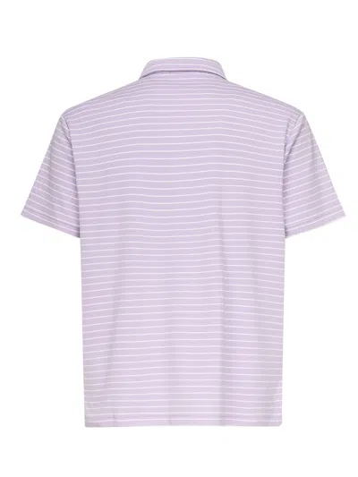 Polo Ralph Lauren Pony Striped Polo In Purple