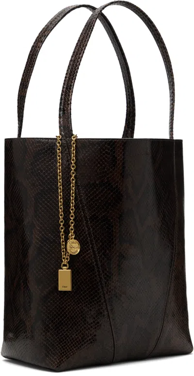 Chloé Stone Island Cotton Sweater In 25e Sooty Brown