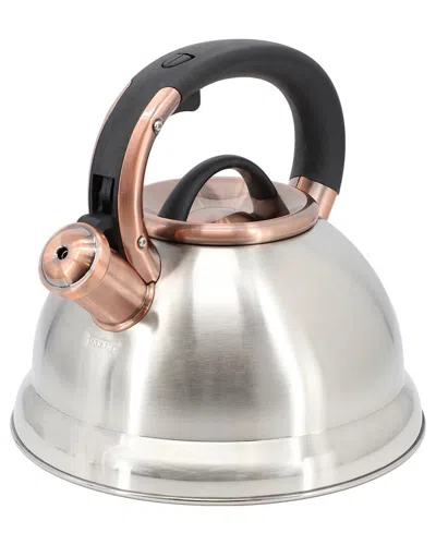 Mr Coffee Mr. Coffee Flintshire 2.2 Quart Stainless Steel Whistling Tea Kettle In Silver