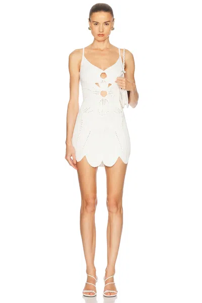 Cult Gaia Marlow Knit Dress In White
