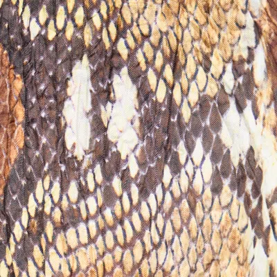 Roberto Cavalli Hemd Body Mit Python-print In Brown