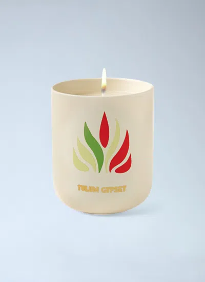 Assouline Tulum Gypset Travel From Home Candle White In Green
