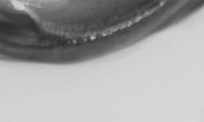 Argento Vivo Chubby Hoop Earrings In Silver