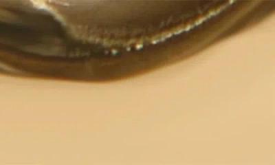 Argento Vivo Chubby Hoop Earrings In Gold