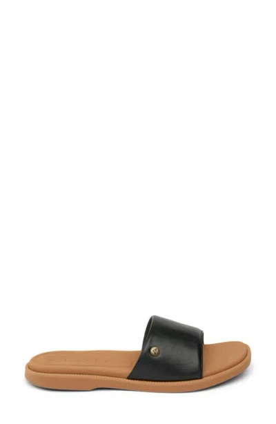 Reef Cushion Sunny Slide Sandal In Black