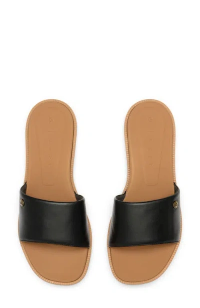 Reef Cushion Sunny Slide Sandal In Black