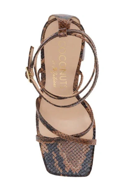 Coconuts By Matisse Abba Block Heel Sandal In Brown Snake Print