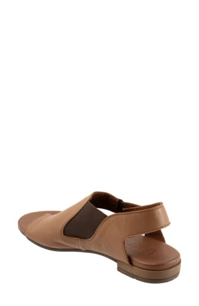 Bueno Tessie Toe Loop Sandal In Walnut