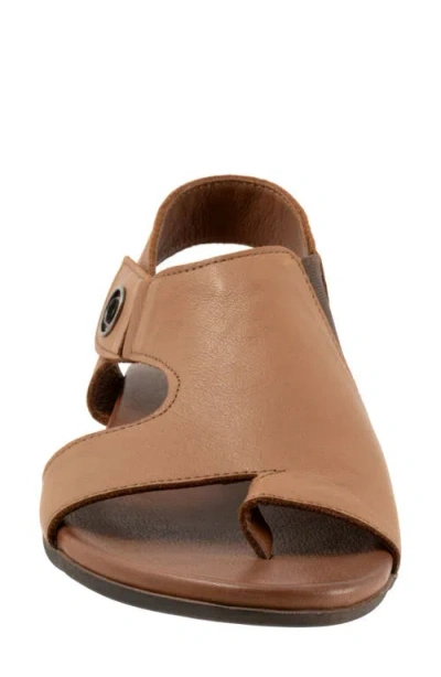 Bueno Tessie Toe Loop Sandal In Walnut