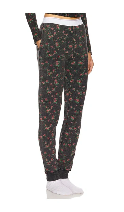 Alexander Wang Waffle Jogger Pants In 洗水黑