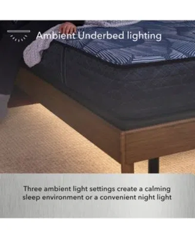 Serta Beautyrest Baselogic Platinum Adjustable Base Collection In No Color