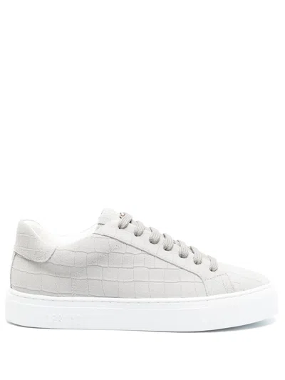 Hide & Jack Low Top Essence Croco Shoes In Grey