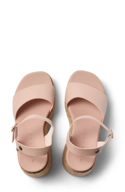 Reef Sunset Sayulita Platform Sandal In Cameo Rose