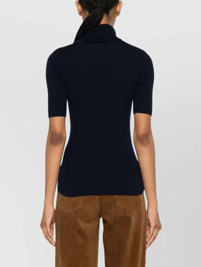 P.a.r.o.s.h Leila Turtleneck Wool Knit Top In Blue