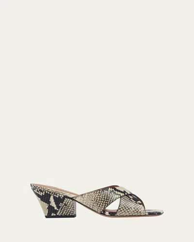 Paris Texas Arizona Snake-embossed Leather Mule Sandals In Naturale