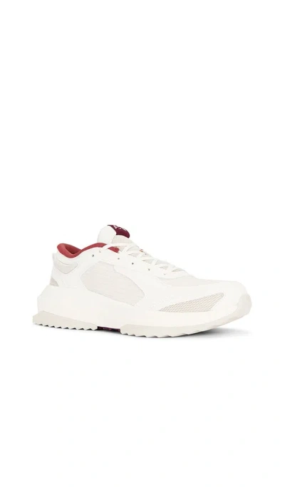 Apl Athletic Propulsion Labs Jogger Sneaker In Ivory,wine