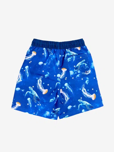 Soli Swim Boys Turtle Beach Shorts In Blue