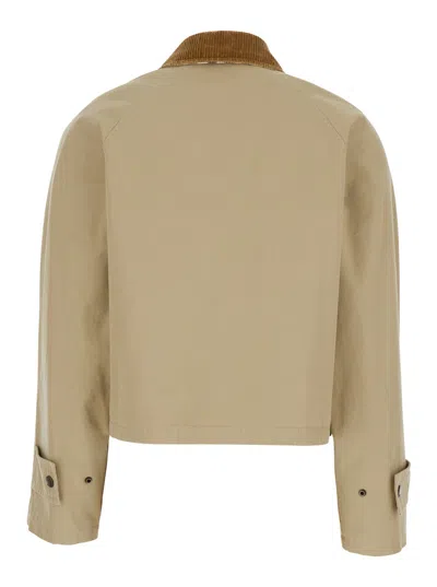 Burberry Beige Cropped Cotton Jacket In Multicolor