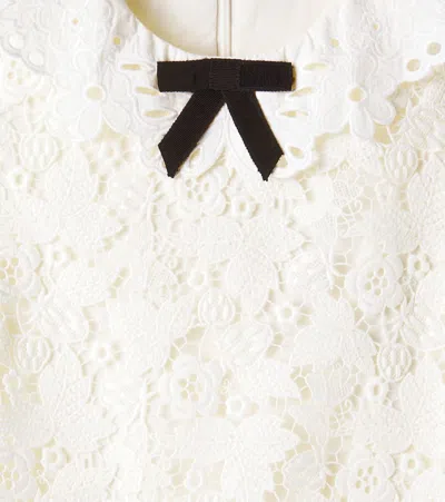 花卉蕾丝连衣裙